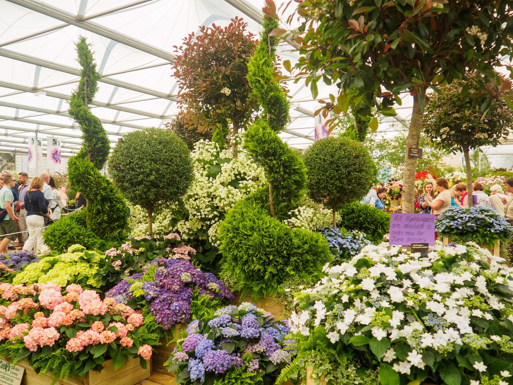 landscaping wirral